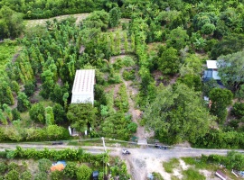 đất nền thị trấn