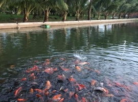 đất nền Xuân Hiệp