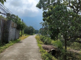 đất nền Suối Cát