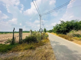 đất sào suối cao
