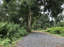 đất nền Thị Trấn Gia Ray